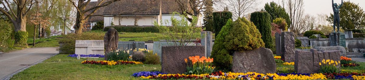Friedhof